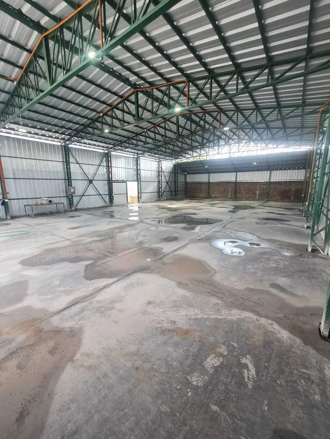 Arriendo de Bodega en San Bernardo, Arrenda Amplio Galpón 500  en San Bernardo (67868)