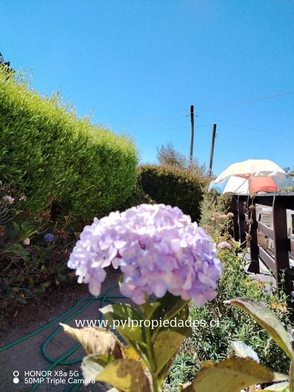 Arriendo de Casa en Algarrobo, Avenida jorge matte, algarrobo