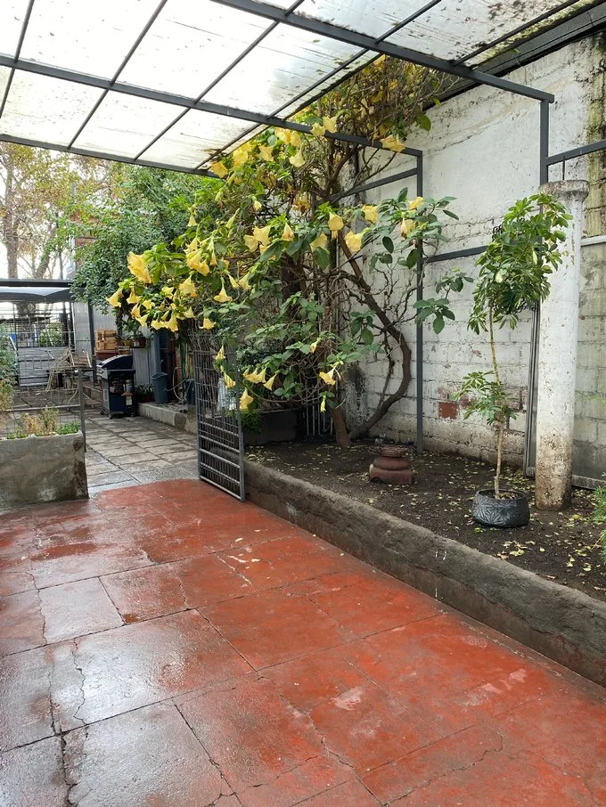 Arriendo de Casa en El Bosque, Gran Av. José Miguel Carrera 12742