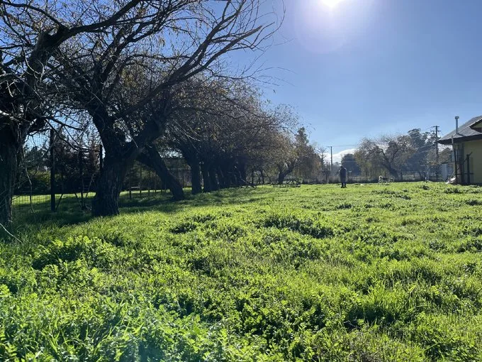 Arriendo de Casa en Los Ángeles, Lote z 34