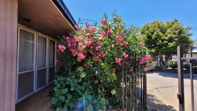 Arriendo de Casa en Los Ángeles, Dr. Manuel Rioseco 400