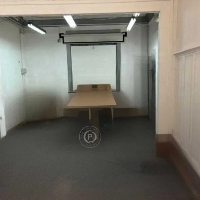 Arriendo de Casa en Providencia, Arriendo Casa Comercial M. Baquedano (110293)
