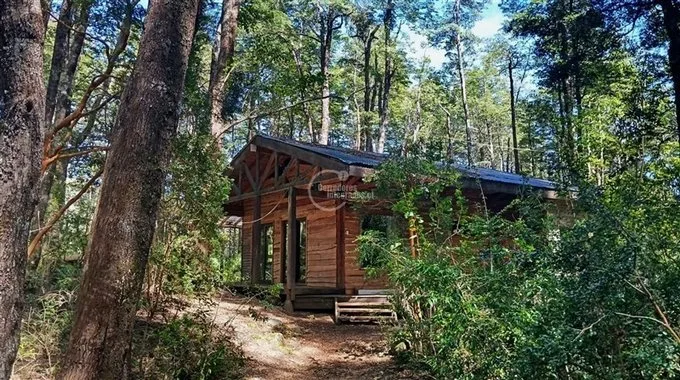 Arriendo de Departamento en Temuco, Departamento pleno centro 3 dormitorios (121535)