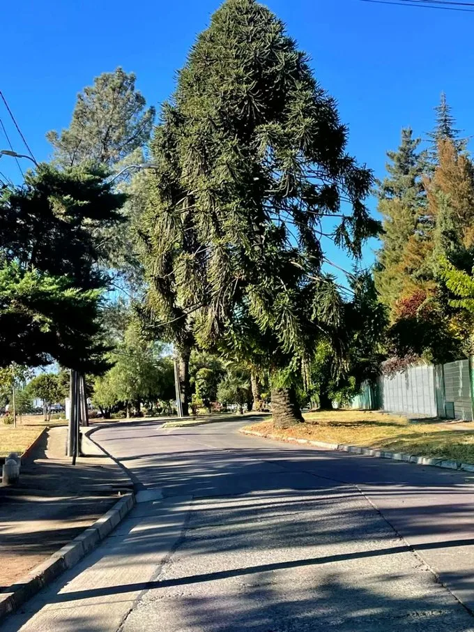 Arriendo de Casa en Rancagua, Licanray