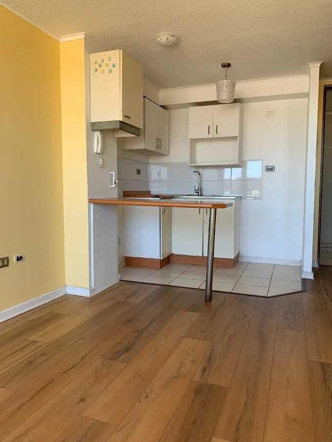 Arriendo de Departamento en Concepción, Arrienda Departamento GC incluidos Concepción (126007)