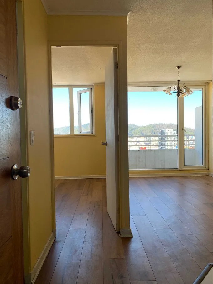 Arriendo de Departamento en Concepción, Arrienda Departamento GC incluidos Concepción (126007)