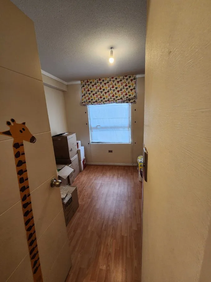 Arriendo de Departamento en Concepción, Arriendo Cómodo departamento 3d 2b 1E (100019)