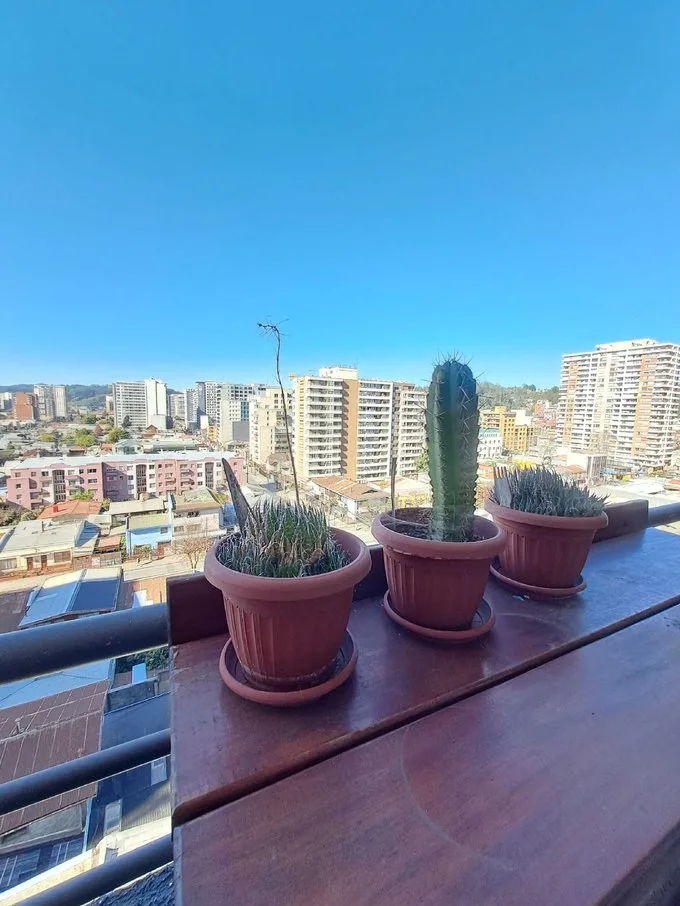 Arriendo de Departamento en Concepción, Oportunidad Depto 2D2B a pasos Santo Tomas