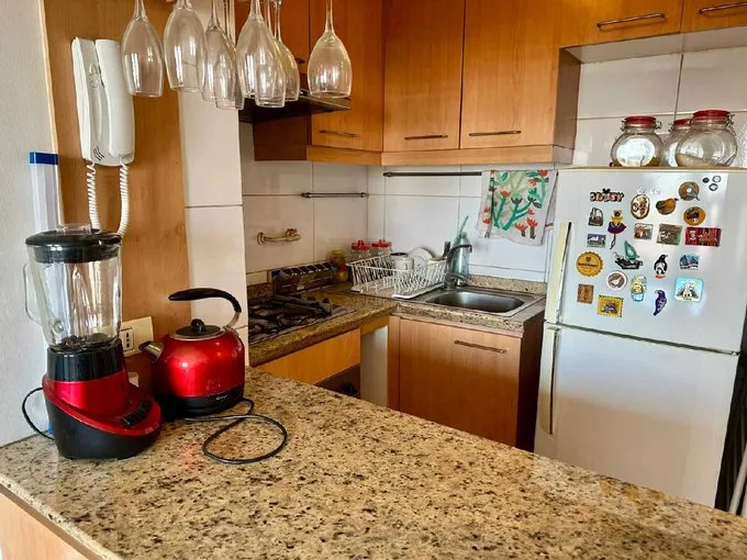 Arriendo de Departamento en Ñuñoa, Lindo departamento 1 dormitorio con bodega (129180)