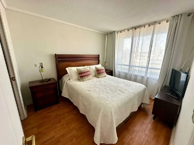 Arriendo de Departamento en Ñuñoa, Lindo departamento 1 dormitorio con bodega (129180)
