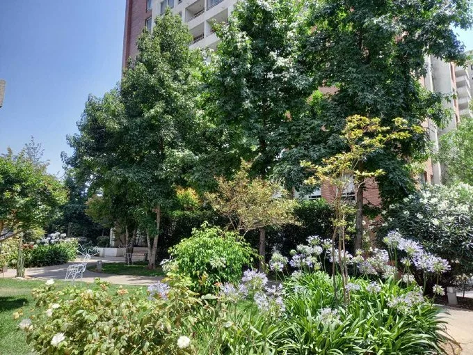 Arriendo de Departamento en Ñuñoa, Maravilloso Dpto 2D+1B, cercano metro ñuble (125506)