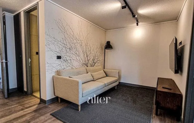 Arriendo de Departamento en Providencia, A estrenar! Nuevo dpto. Recién Amoblado (116448)