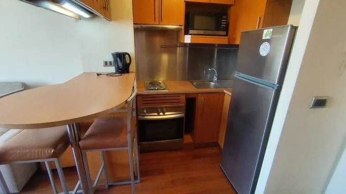 Arriendo de Departamento en Providencia, Arriendo Dpto 1D 1B a pasos Metro Los Leones (100907)