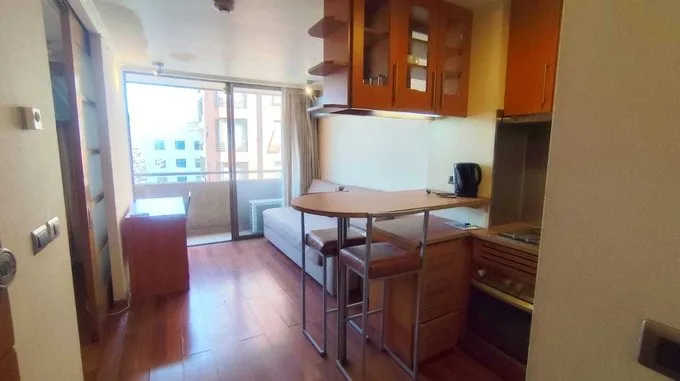 Arriendo de Departamento en Providencia, Arriendo Dpto 1D 1B a pasos Metro Los Leones (100907)
