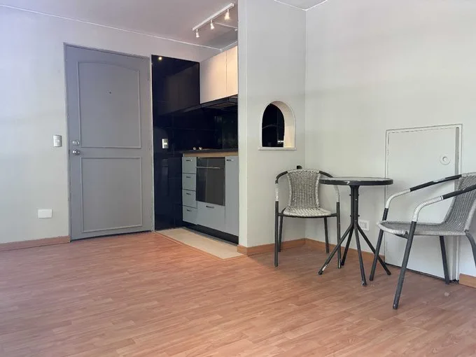 Arriendo de Departamento en Providencia, Excelente Conectividad (129466)