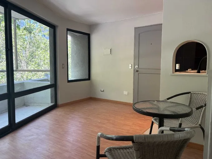 Arriendo de Departamento en Providencia, Excelente Conectividad (129466)
