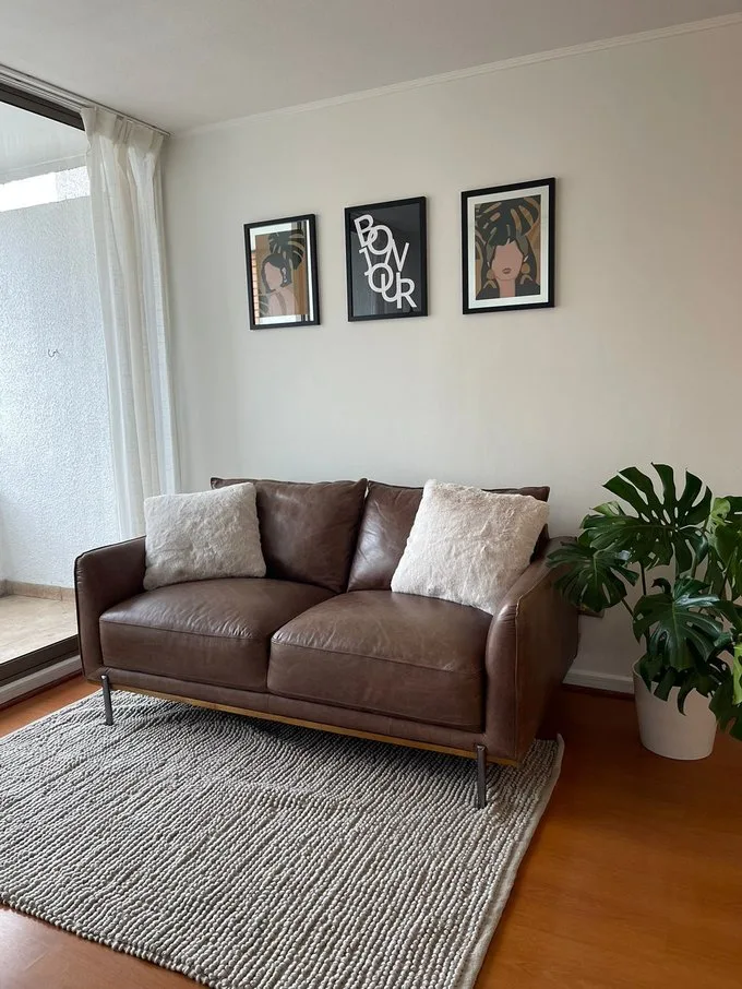 Arriendo de Departamento en Providencia, Federico Froebel