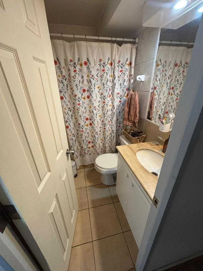 Arriendo de Departamento en Providencia, Pedro de valdivia (125907)