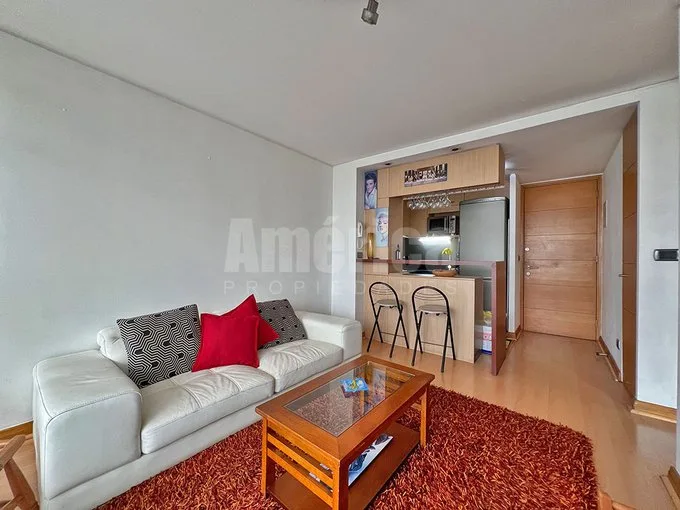 Arriendo de Departamento en Providencia, Suecia