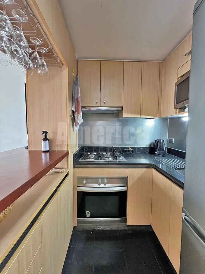 Arriendo de Departamento en Providencia, Suecia