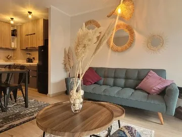 Arriendo de Departamento en Pucón, camino internacional 1605