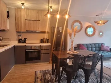 Arriendo de Departamento en Pucón, camino internacional 1605