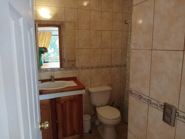 Arriendo de Departamento en Pucón, camino subida al volcán