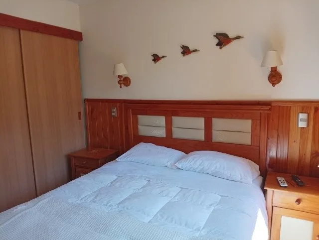 Arriendo de Departamento en Pucón, camino subida al volcán