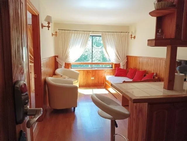 Arriendo de Departamento en Pucón, camino subida al volcán