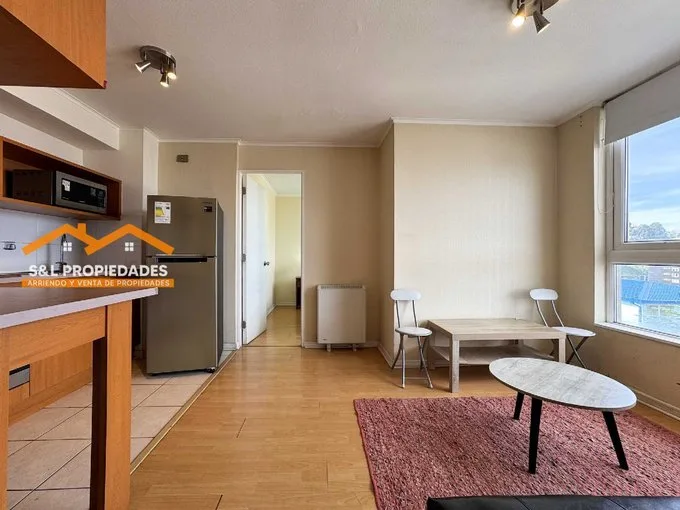 Arriendo de Departamento en Puerto Montt, Arriendo Departamento en Puerto Montt (125987)