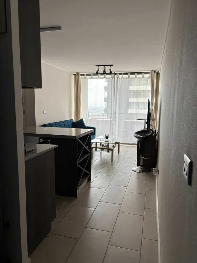 Arriendo de Departamento en Santiago, Arriendo Departamento Santiago Centro (117613) - 1