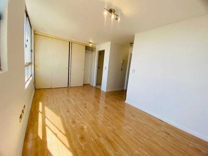 Arriendo de Departamento en Santiago, Depto estudio arturo prat/victoria (114688) - 1