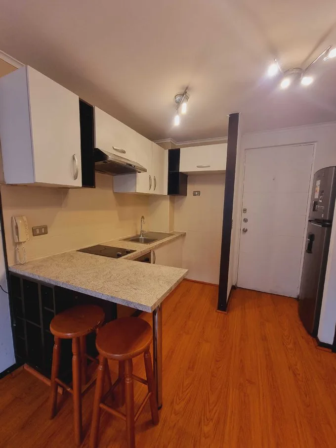 Arriendo de Departamento en Santiago, Impecable y amplio departamento - 1