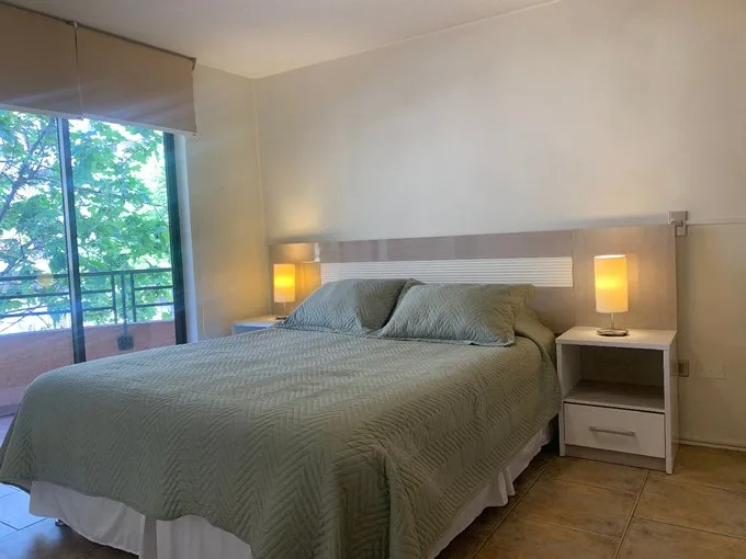 Arriendo de Departamento en Santiago, Lira