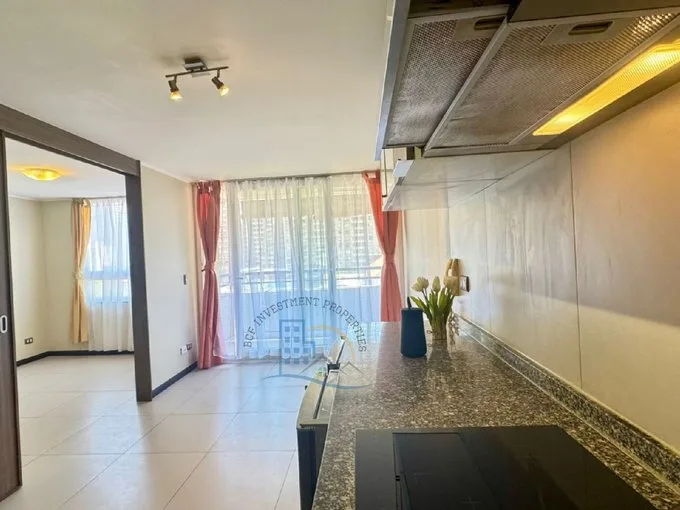 Arriendo de Departamento en Santiago, Santa Victoria 366 - 1