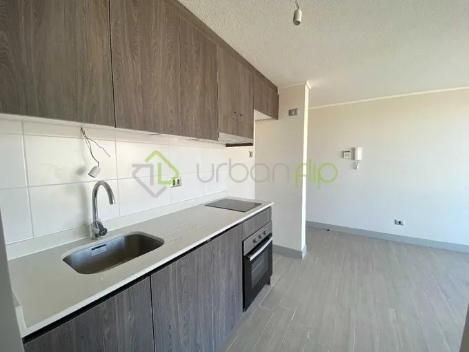 Arriendo de Departamento en Santiago, Se Arrienda Departamento Nuevo en Santiago  (122595) - 1