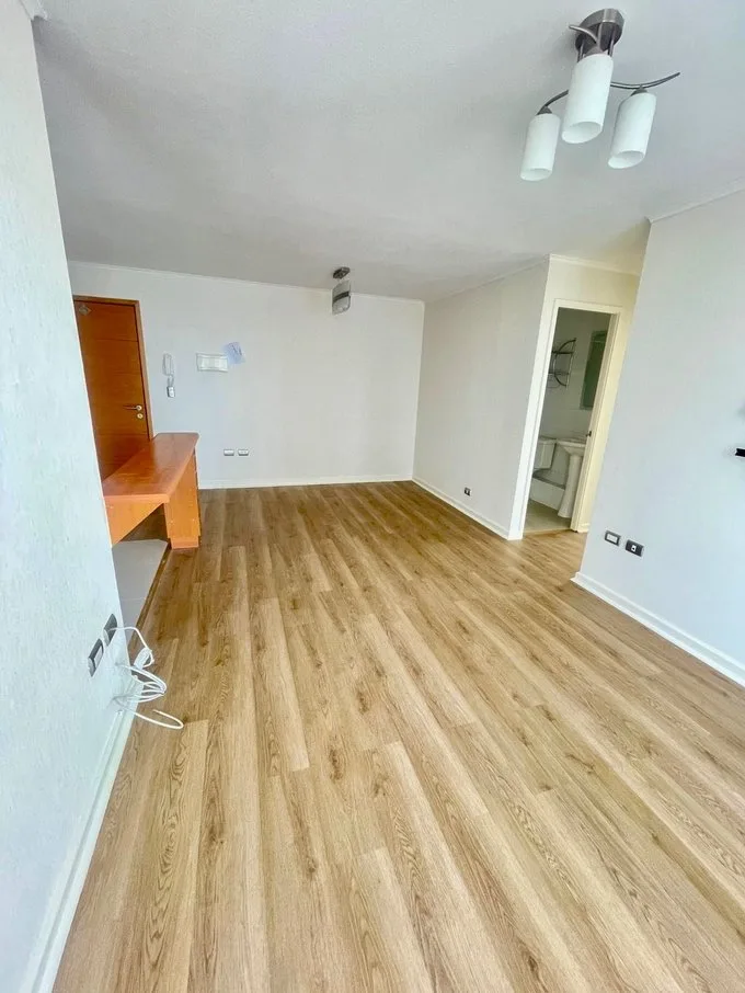 Arriendo de Departamento en Concepción, Amoblado, ideal empresas (115550)