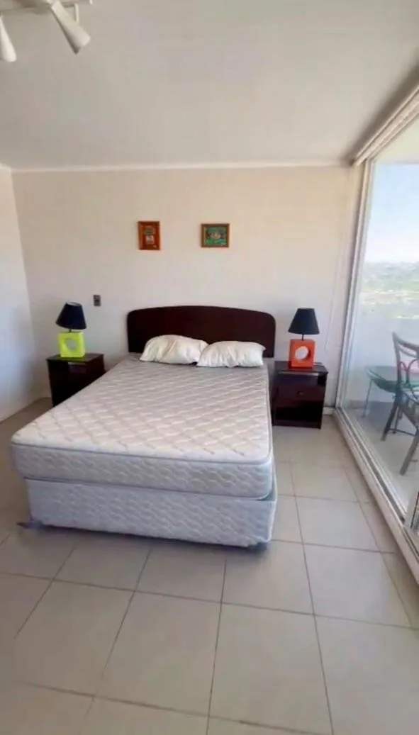Arriendo de Departamento en Viña del Mar, Arriendo Depto equipado en viña  (130207)