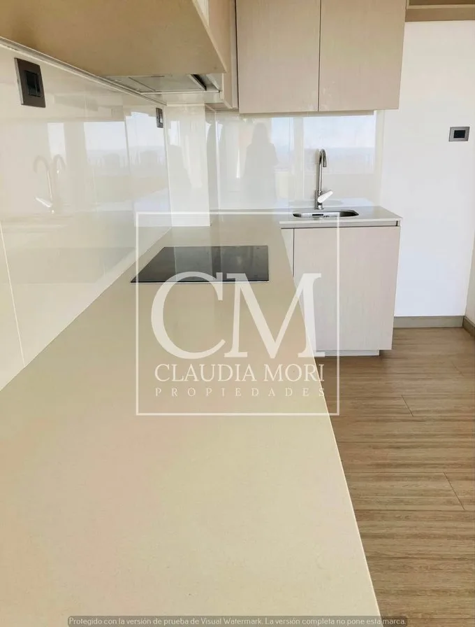 Arriendo de Departamento en Viña del Mar, Viña del Mar, Quinta Vergara