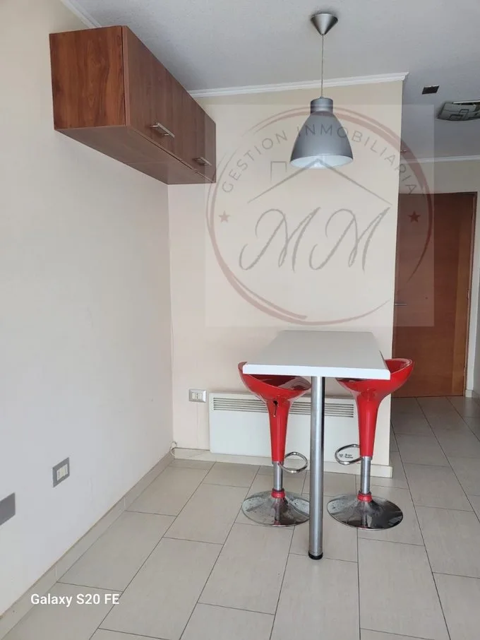 Arriendo de Estudio en Temuco, Trizano 390