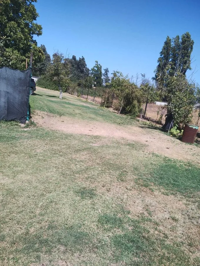 Arriendo de Local Comercial en La Pintana, Arriendo centro vento diario (91204)