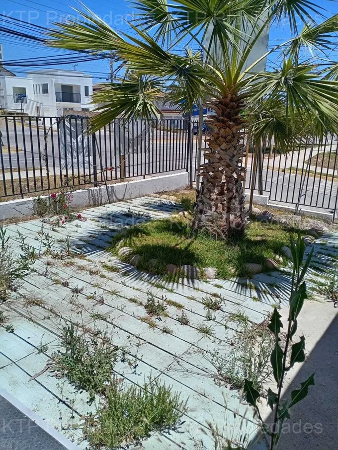 Arriendo de Local Comercial en La Serena, Arriendo para Centro médico u Otros (71281)
