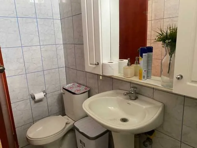 Arriendo de Local Comercial en Santiago, Local comercial y bodega con recepción final (121868)