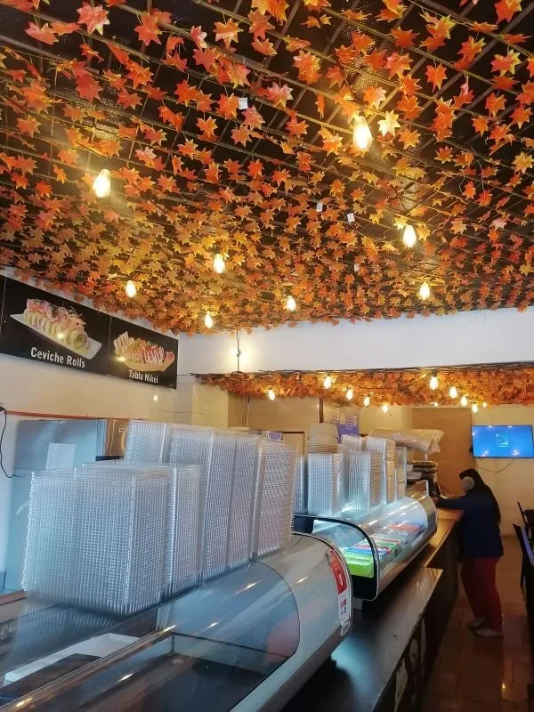Arriendo de Local Comercial en Santiago, San Diego & Franklin