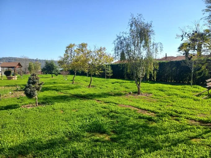 Arriendo de Parcela en Limache, Lliu lliu
