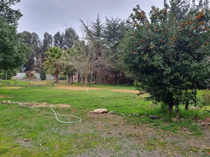 Arriendo de Parcela en Mostazal, Fundo Peuco