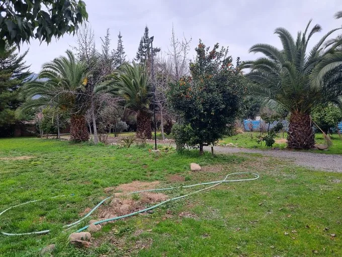 Arriendo de Parcela en Mostazal, Fundo Peuco