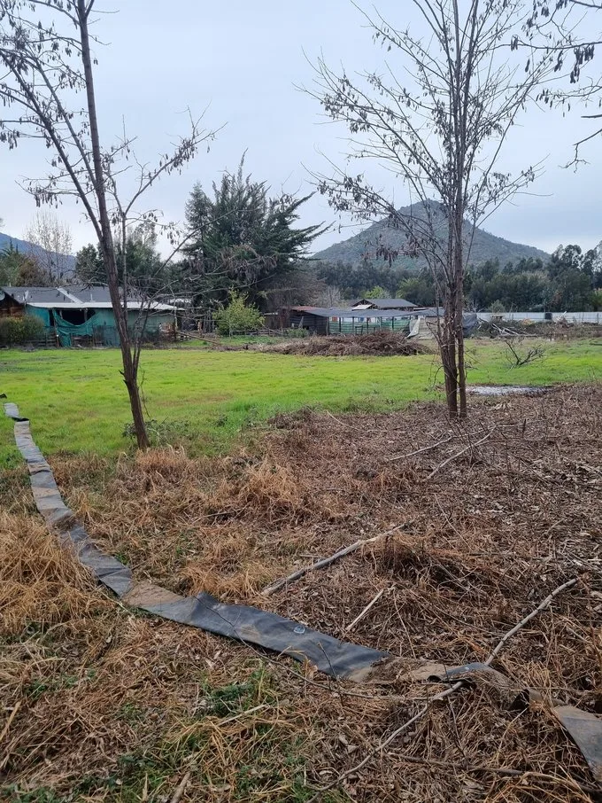 Arriendo de Parcela en Mostazal, Fundo Peuco