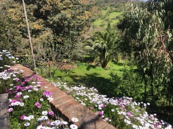 Arriendo de Parcela en Olmué, Av. Eastman