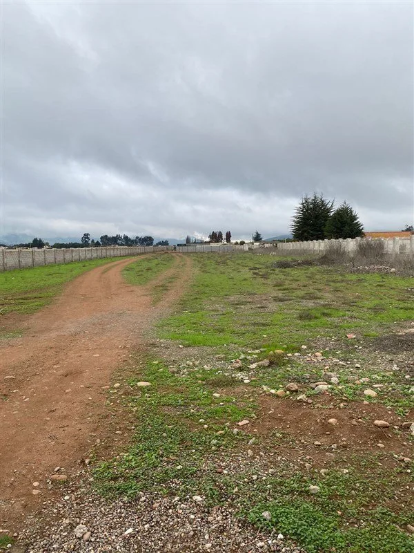 Arriendo de Sitio en La Serena, Ruta 253 Bellavista